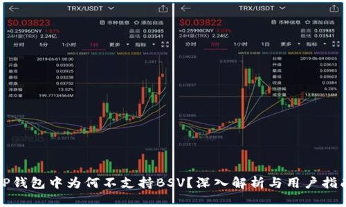 TP钱包中为何不支持BSV？深入解析与用户指南
