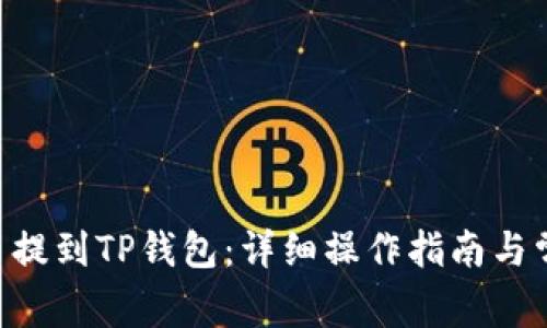 如何将BIG币提到TP钱包：详细操作指南与常见问题解答