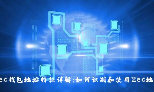 ZEC钱包地址特征详解：如何识别和使用ZEC地址