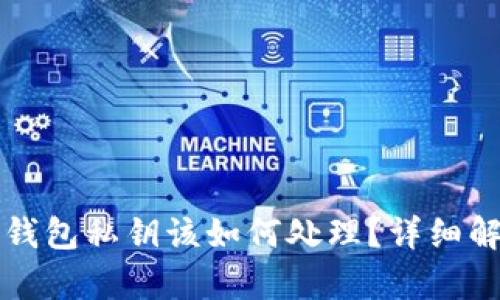 如果忘记TP钱包私钥该如何处理？详细解决方案解析