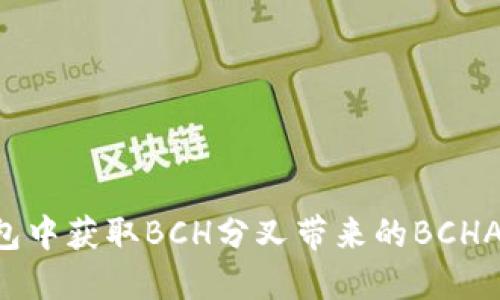 如何在钱包中获取BCH分叉带来的BCHA：详细指南