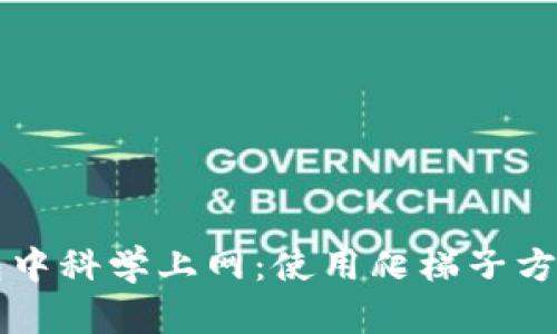 如何在TP钱包中科学上网：使用爬梯子方法的详细指南